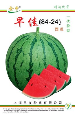 早佳8424
